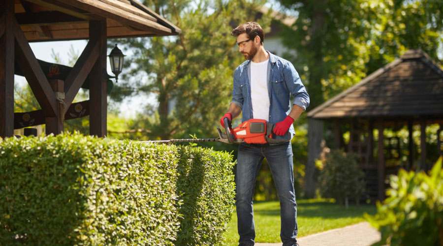 Heckenpflege: Was ist während der Vegetationsperiode erlaubt?