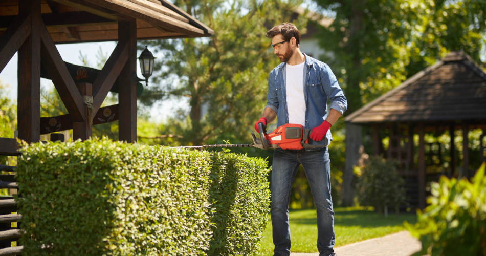 Heckenpflege: Was ist während der Vegetationsperiode erlaubt?